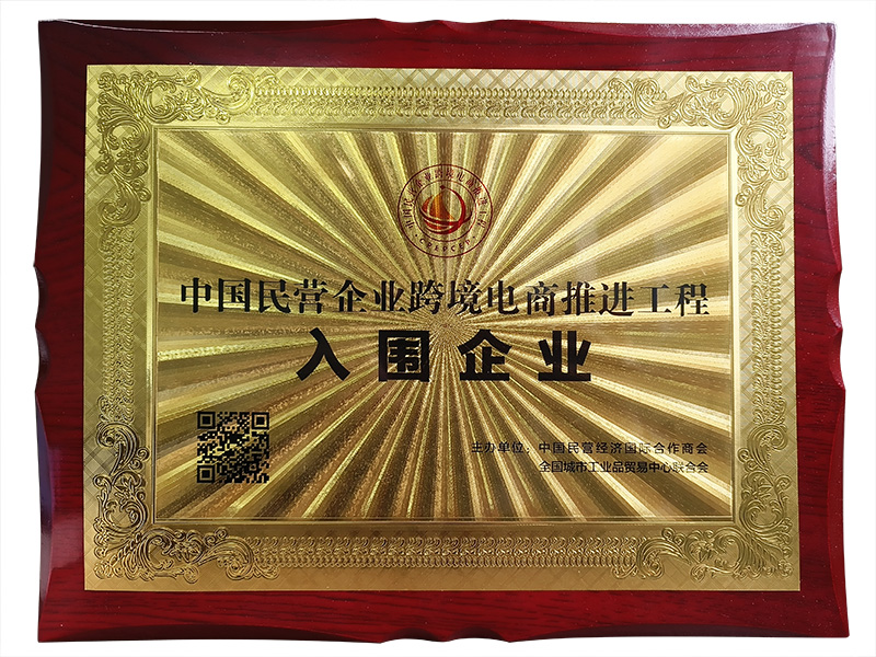 中国民营企业跨境电商推进工程入围企业